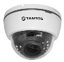 Купольная IP-видеокамера для помещений модель:  TSi-De25FPA (4)