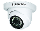 Купольная уличная антивандальная видеокамера мультиформатного стандарта модель: TSc-EB720pHDf (3.6) купить в магазине "Проводник" г. Волгоград